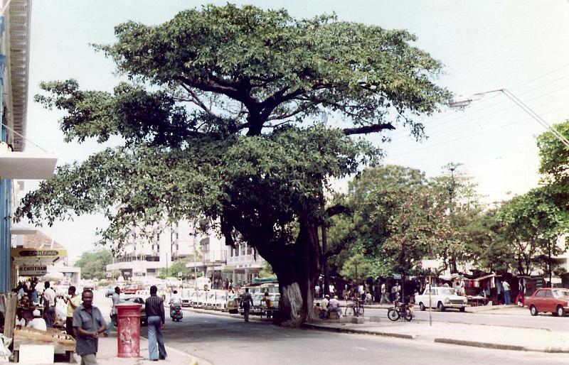 06_Mombassa2_1981.jpg