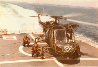 Westland Wasp 1978