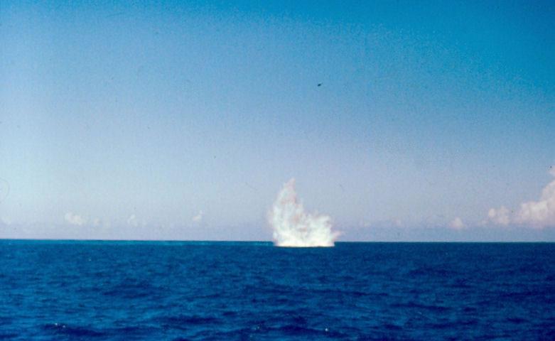 77scan0012_jpg.jpg - Live Depth Charge Drop - spot the Waspphoto©David Marchant 