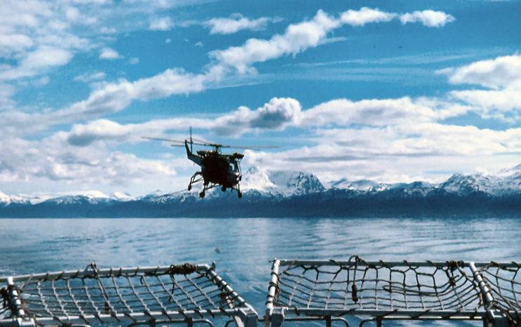 77scan0016_jpg.jpg - Wasp over the Fijords 1977photo©David Marchant 
