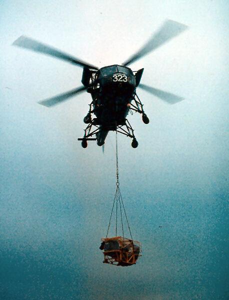 scan0036_jpg.jpg - Twin engined Wasp!photo©David Marchant