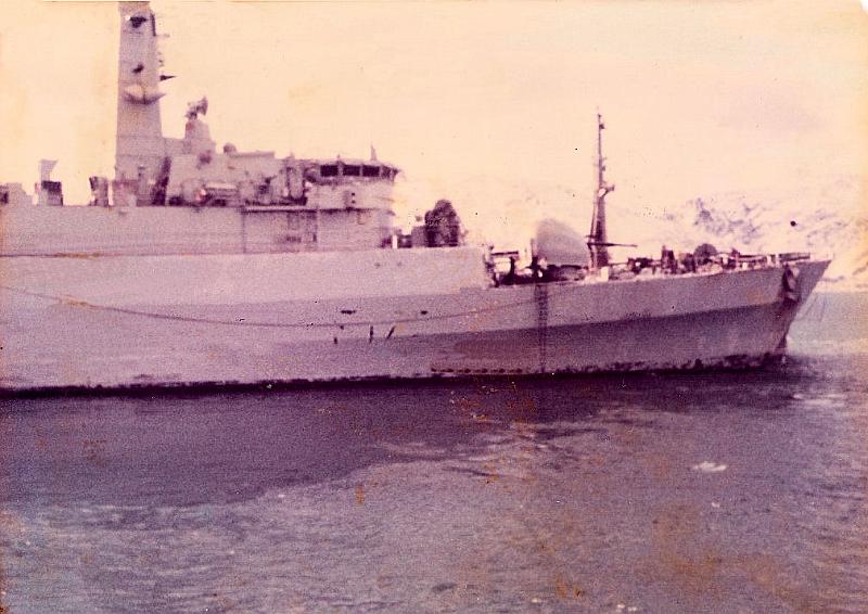 82_F_War_Time_Colours.jpg - War colours Falklands 1982